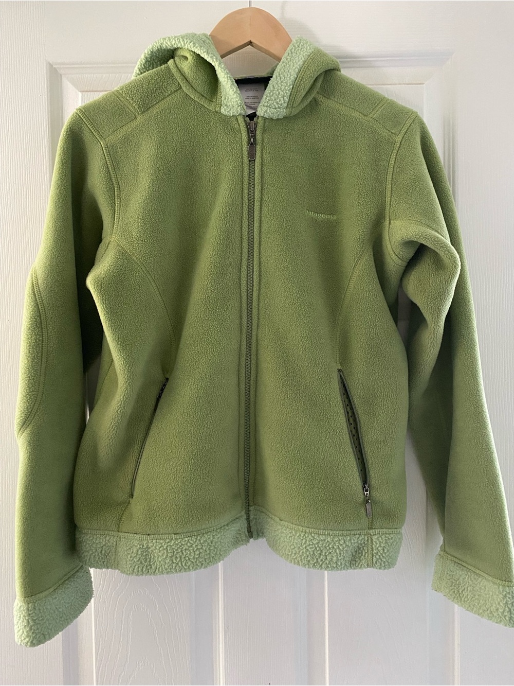 Vintage Patagonia Women’s Synchilla Arctic Fleece Jacket Size M Color Green - Picture 1 of 11
